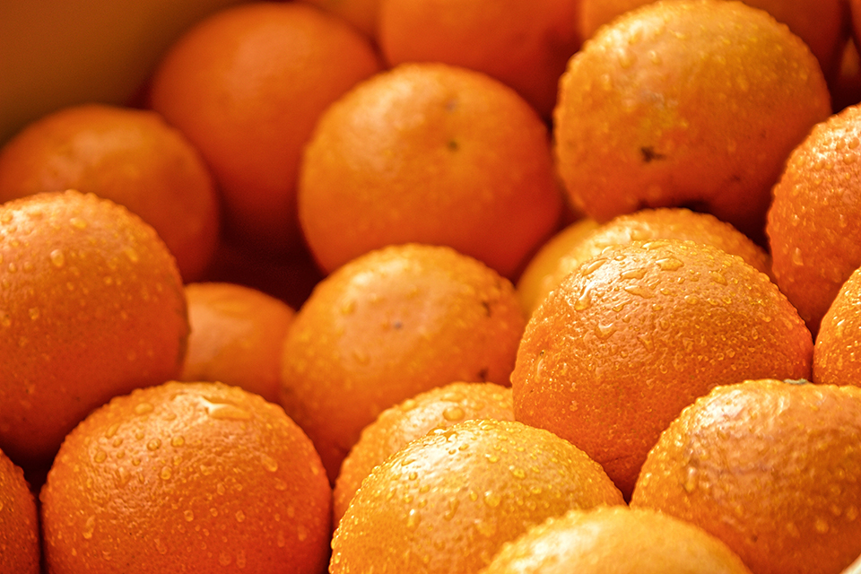 橙子.jpg